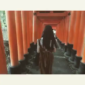 伏見稲荷大社の画像