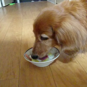 また、食べてくれましたの画像