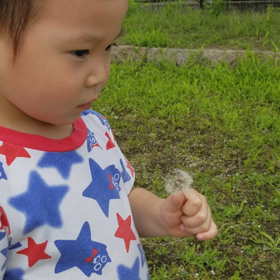 9/17 今日の１枚の画像