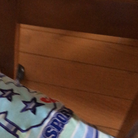 普通の朝、チップ君散歩へ、デールちゃんの毛づくろいの画像