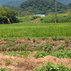台風前夜の画像