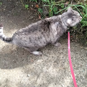 欲求爆発!!の画像