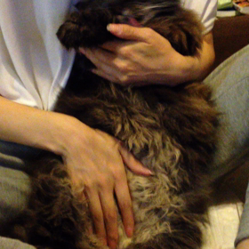 モジャ男の画像