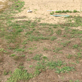 初体験！の画像