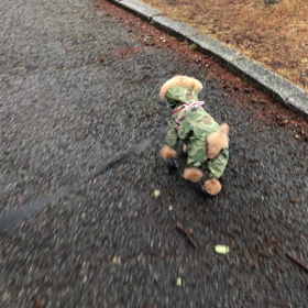 雨続きの中の画像