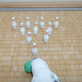 ボウリングの画像