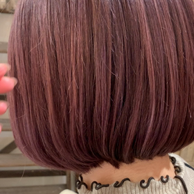 ラベンダーの画像