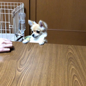 姉ちゃんと雷太の画像