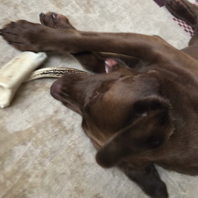 いつもの快の画像