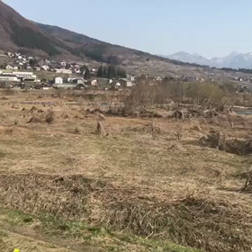 百年後の君が春の風に乗る…  ウクレレっていいかも？　byマリオの画像