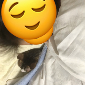 インターネット繋がらず…お見苦しいが可愛いデールに癒されて！の画像