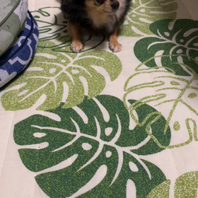 シェリ〜おいでの画像