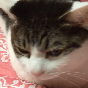 調子に乗って第２弾の画像