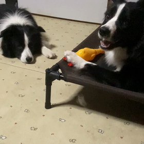 成長が楽しみな反面、ゆっくりで良いよとも思うの画像