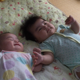 うちわの風で大興奮の画像