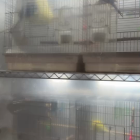 オキナの独り言の画像