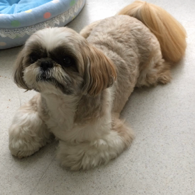 ♪プレイルーム動画♪の画像