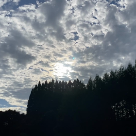 “自然と音遊び” プロジェクト vol.073！の画像