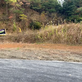 2022年11月29日（火）のおわらサーキットの画像