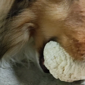 買う買う詐欺に遭う？！の画像