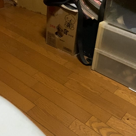 そうか？の画像