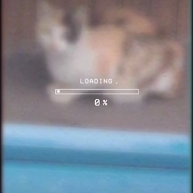 なづニャン情熱大陸(=^ェ^=)の画像