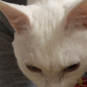 はずかしいよの画像