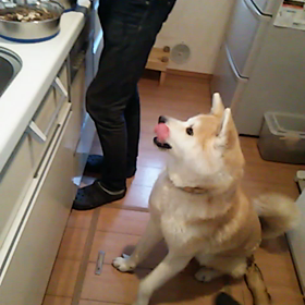 食いしん坊の画像