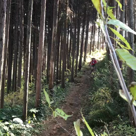 トレラン風景動画の画像