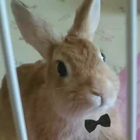 良いお年を！の画像