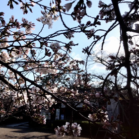 4月16日 今日のささやかな幸せの画像