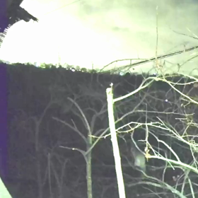 すぎぴたんの事件簿シーズン3　125話（ケモノ道のその後）の画像