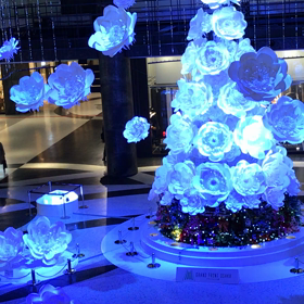 よりみちの画像