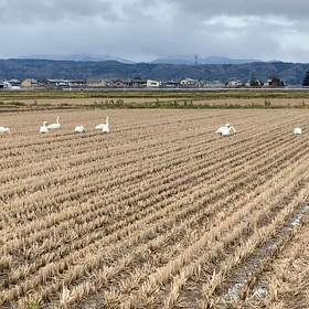 休憩ちう…との画像