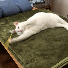 ひとりあそびの画像