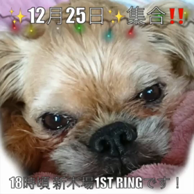 ぼっちパパからの画像