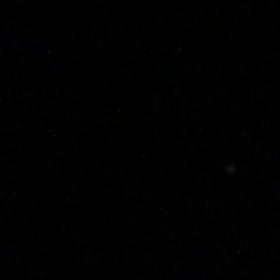 それはいつもいっしょの画像