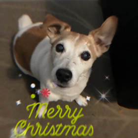 タイタニックの画像