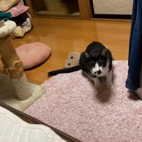 マルくん。の画像