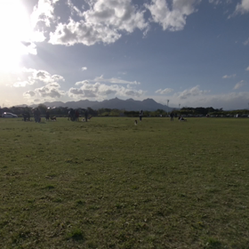 お昼寝から復活！の画像