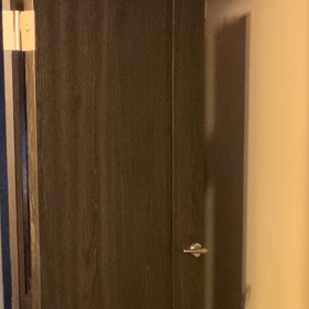 苦手な虫どうしてる？の画像