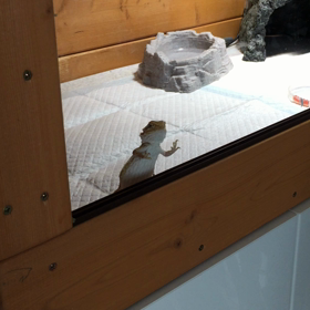 ティキ♡の画像