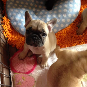 ミンニョンベビーの画像