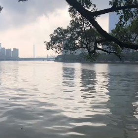 広州の現地レポート動画③の画像