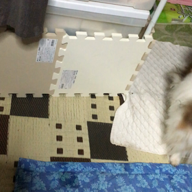 リーベが変！！の画像