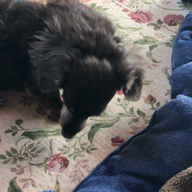 なんか…ついてる⁈の画像