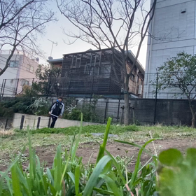 トレーニングの画像