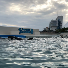 癒し、そして活力の画像