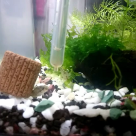 殿のモグモグの画像