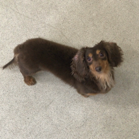 ♪プレイルーム動画♪の画像